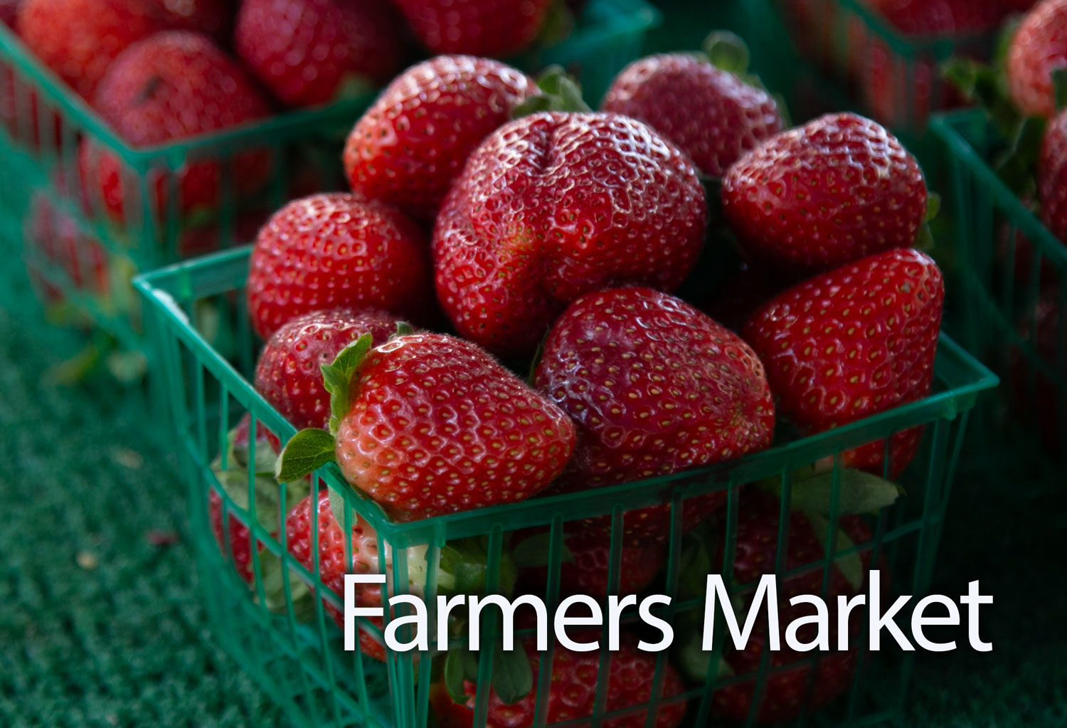 Santa Barbara Farmers Market