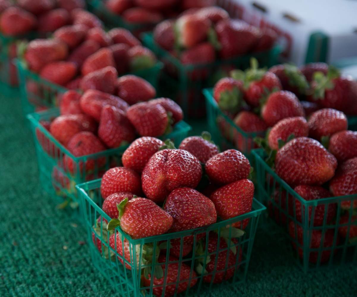 Santa Barbara Farmers Market