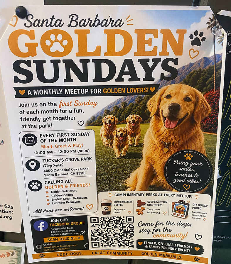 Golden Sunday Santa Barbara doggie meetup
