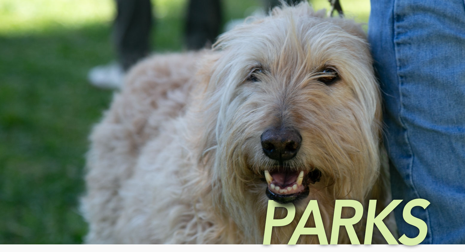 Santa Barbara parks and rec